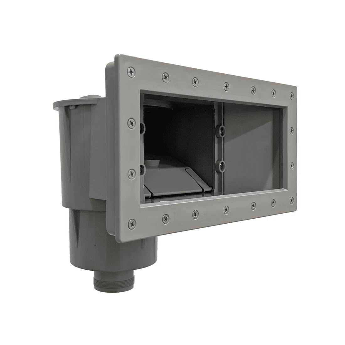 Écumoire grise grande bouche Lacus